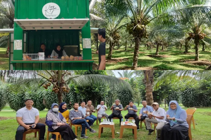 Kafe Alam di Tengah Kebun Kelapa Kopyor yang Unik di Bogor