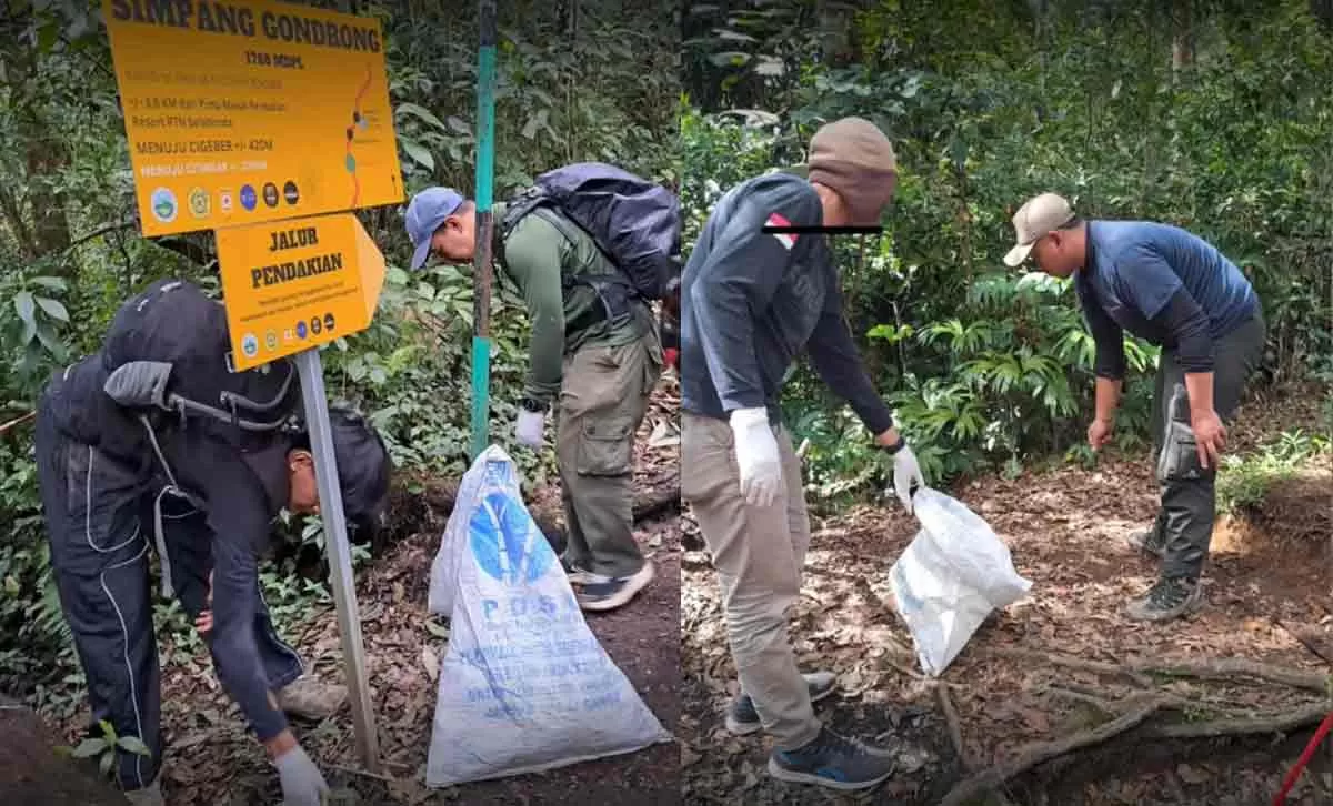 Sampah 115 Kilogram: 7 Fakta Terbaru dari Jalur Selabintana Gunung Gede Pangrango