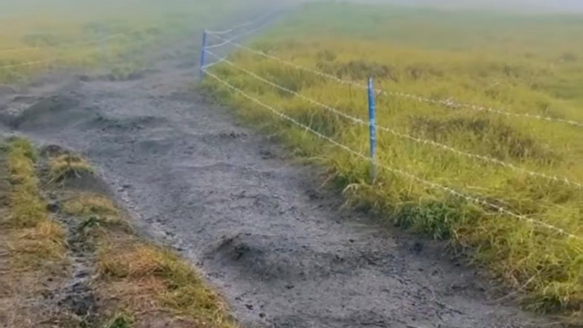 7 Fakta Viral Jalur Pendakian Gunung Sumbing Dipagari Kawat Berduri